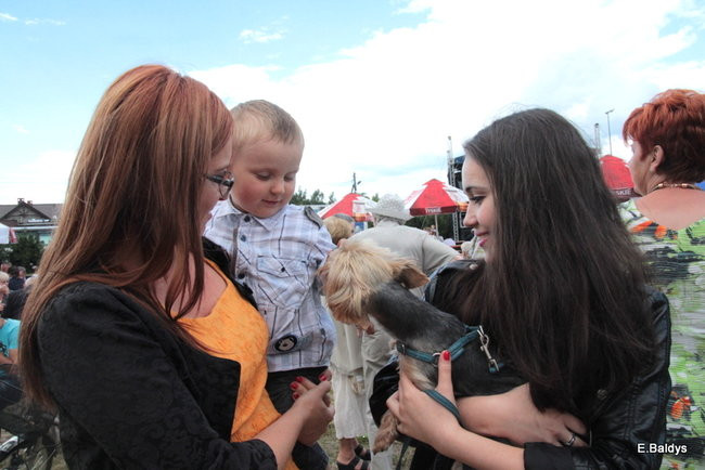 Barwny weekend w Święciechowie (zdjęcia)