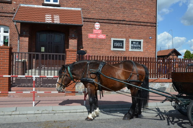 Miłość na festynie w Dłużynie (zdjęcia)