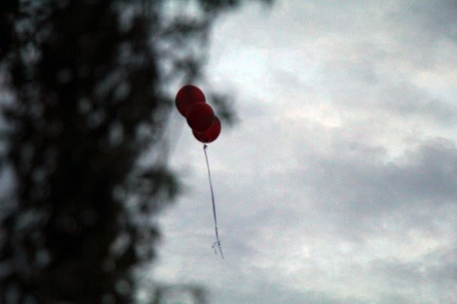 Zimne wianki w Osiecznej (zdjęcia)