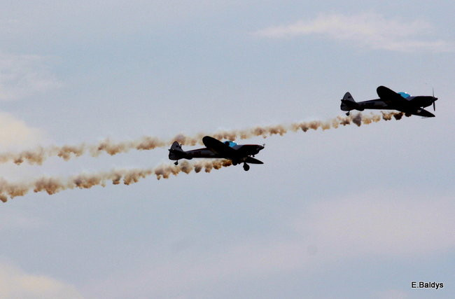 Taki piknik tylko w Lesznie (zdjęcia)