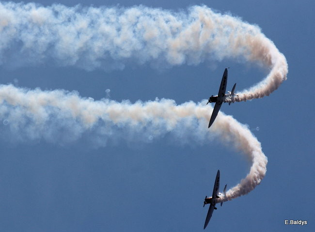 Taki piknik tylko w Lesznie (zdjęcia)