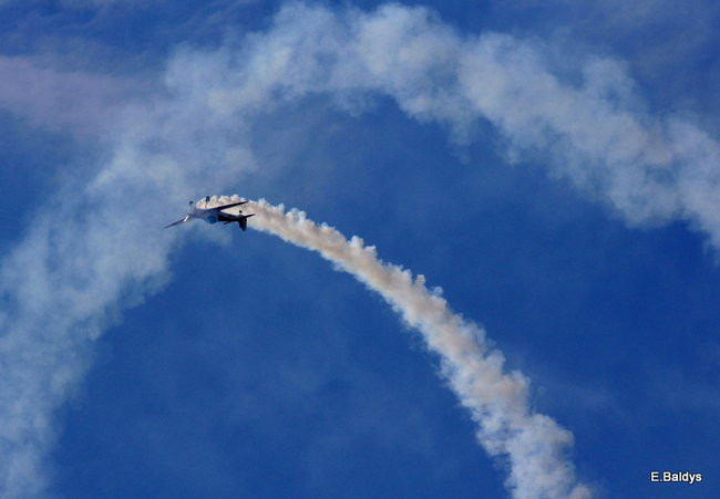 Taki piknik tylko w Lesznie (zdjęcia)