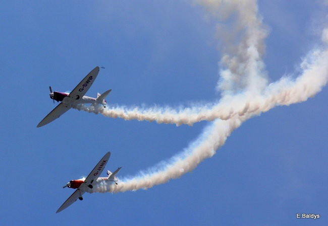 Taki piknik tylko w Lesznie (zdjęcia)