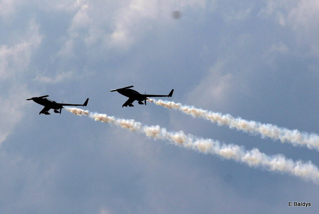 Taki piknik tylko w Lesznie (zdjęcia)