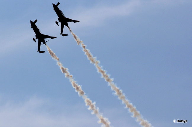 Taki piknik tylko w Lesznie (zdjęcia)