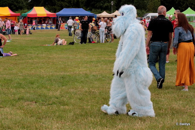 Taki piknik tylko w Lesznie (zdjęcia)