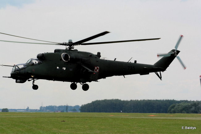 Taki piknik tylko w Lesznie (zdjęcia)