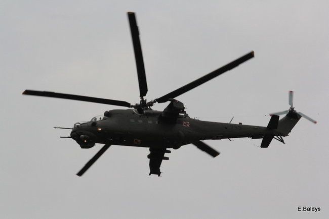 Taki piknik tylko w Lesznie (zdjęcia)