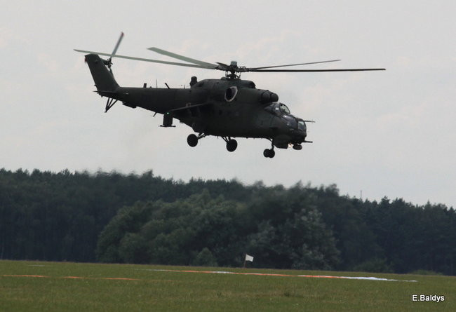 Taki piknik tylko w Lesznie (zdjęcia)