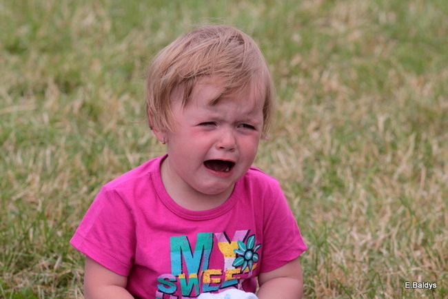 Taki piknik tylko w Lesznie (zdjęcia)