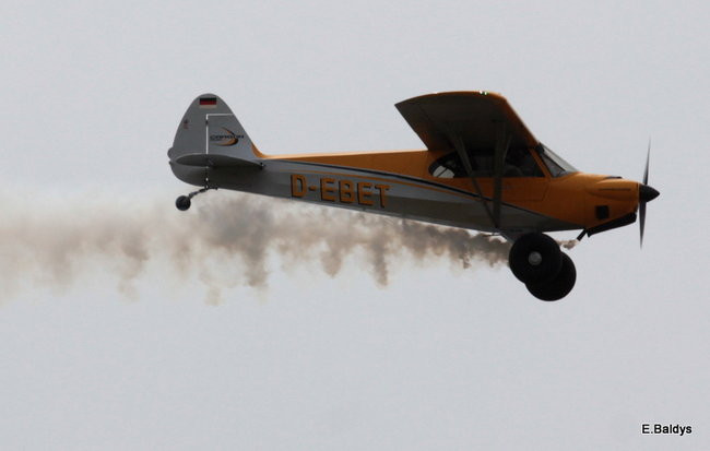 Taki piknik tylko w Lesznie (zdjęcia)