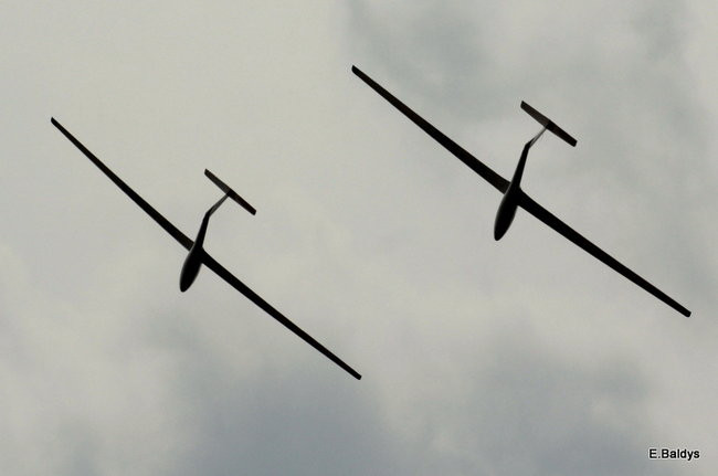 Taki piknik tylko w Lesznie (zdjęcia)