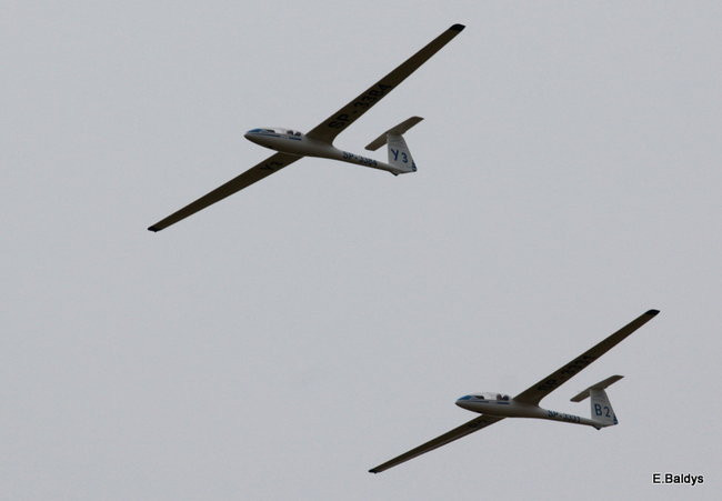 Taki piknik tylko w Lesznie (zdjęcia)