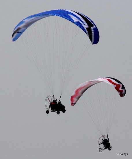 Taki piknik tylko w Lesznie (zdjęcia)