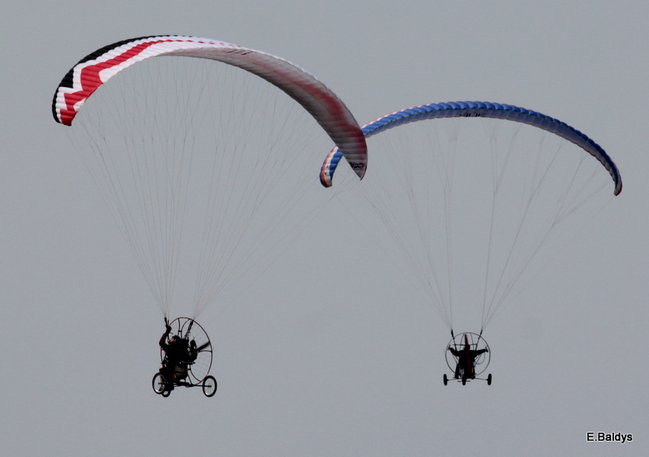 Taki piknik tylko w Lesznie (zdjęcia)