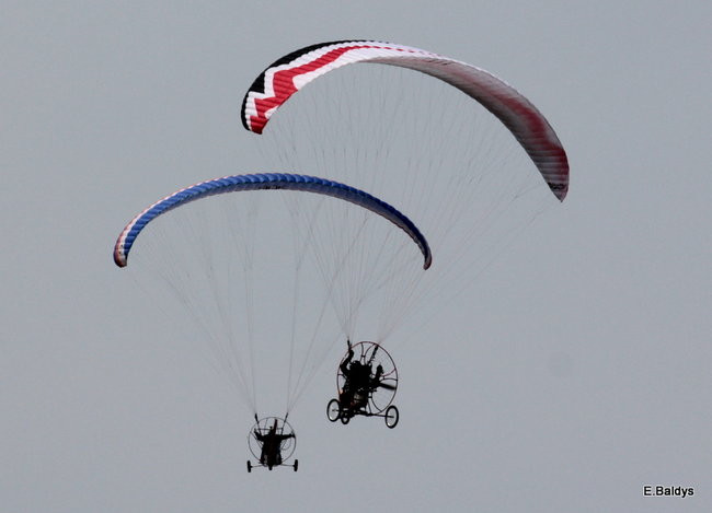 Taki piknik tylko w Lesznie (zdjęcia)