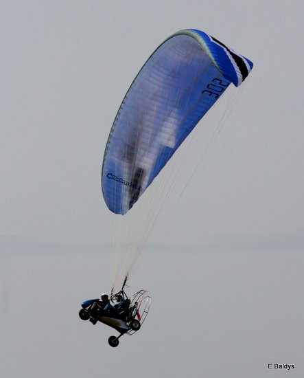 Taki piknik tylko w Lesznie (zdjęcia)