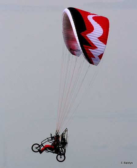 Taki piknik tylko w Lesznie (zdjęcia)