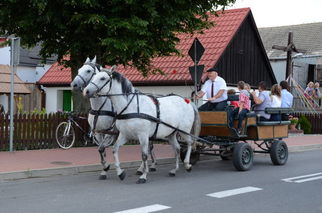 Zjazd rodu Śliwa (zdjęcia)