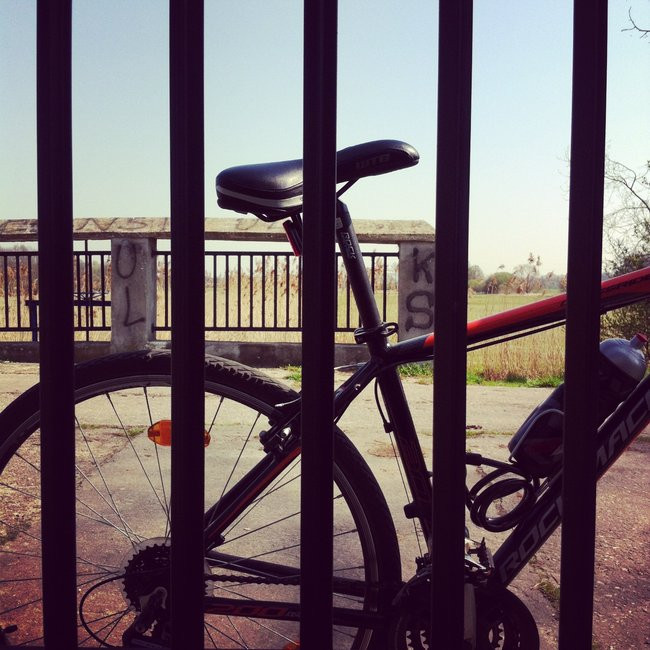 Leszno pełne rowerów (zdjęcia)