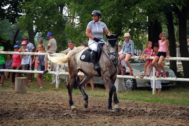Konne popisy w Jeziorkach (dźwięk i zdjęcia)