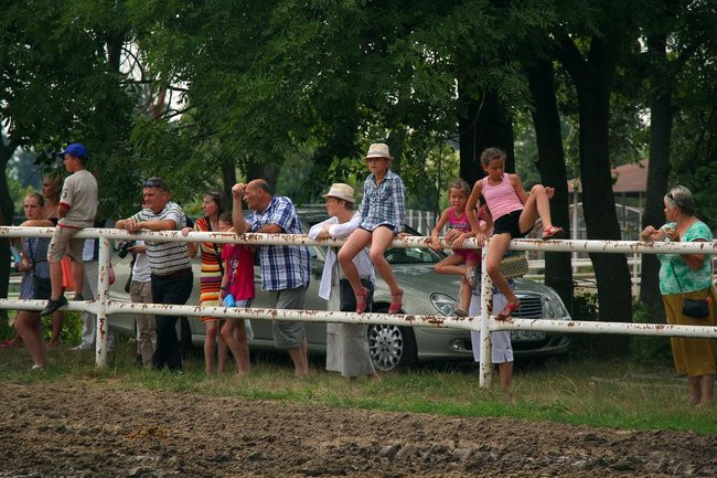 Konne popisy w Jeziorkach (dźwięk i zdjęcia)