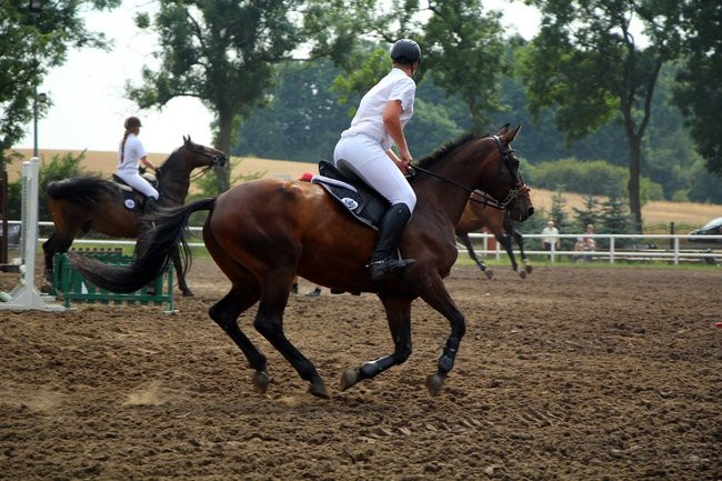 Konne popisy w Jeziorkach (dźwięk i zdjęcia)
