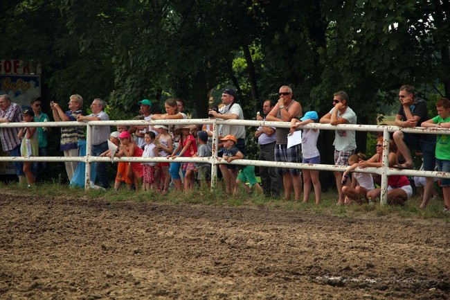 Konne popisy w Jeziorkach (dźwięk i zdjęcia)