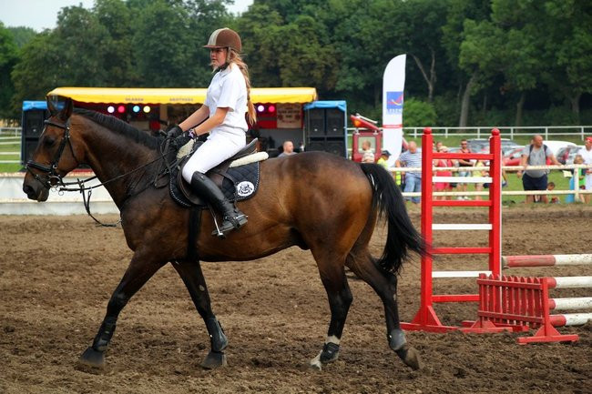 Konne popisy w Jeziorkach (dźwięk i zdjęcia)