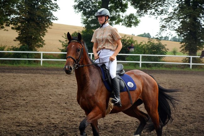 Konne popisy w Jeziorkach (dźwięk i zdjęcia)