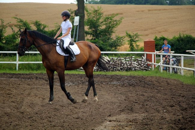 Konne popisy w Jeziorkach (dźwięk i zdjęcia)
