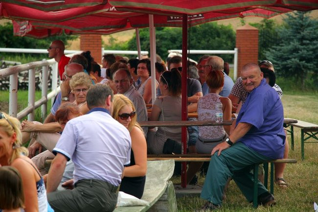 Konne popisy w Jeziorkach (dźwięk i zdjęcia)