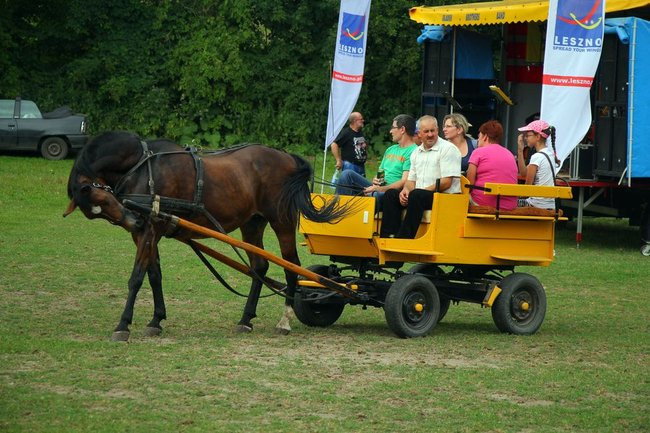 Konne popisy w Jeziorkach (dźwięk i zdjęcia)