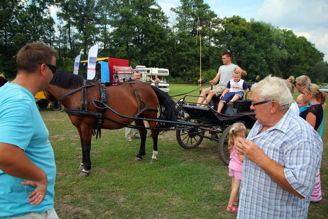 Konne popisy w Jeziorkach (dźwięk i zdjęcia)