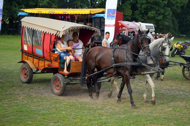 Konne popisy w Jeziorkach (dźwięk i zdjęcia)