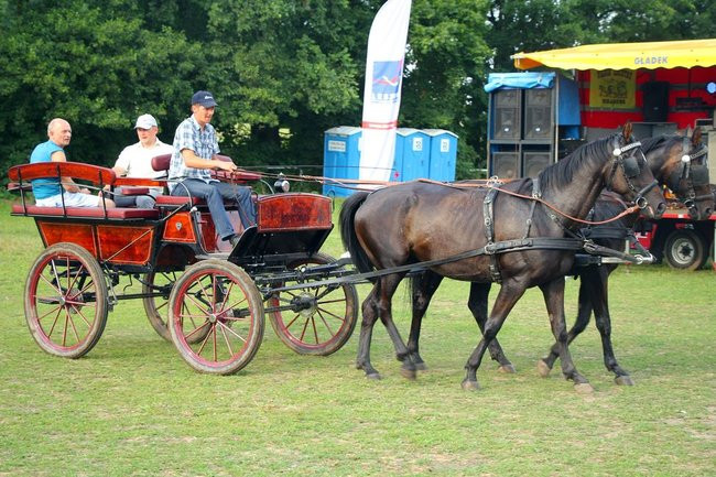 Konne popisy w Jeziorkach (dźwięk i zdjęcia)