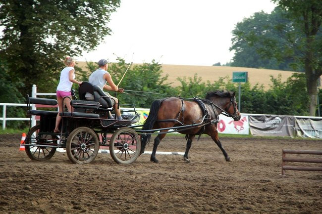 Konne popisy w Jeziorkach (dźwięk i zdjęcia)