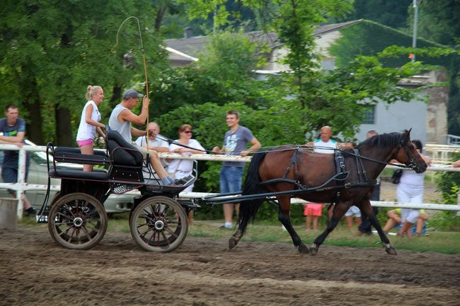 Konne popisy w Jeziorkach (dźwięk i zdjęcia)