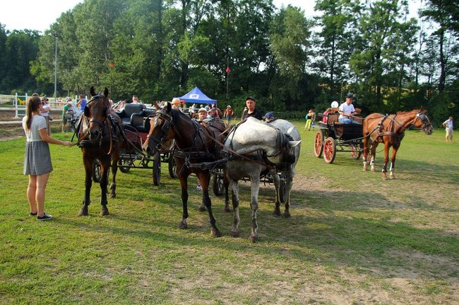Konne popisy w Jeziorkach (dźwięk i zdjęcia)