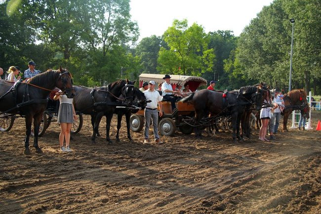 Konne popisy w Jeziorkach (dźwięk i zdjęcia)