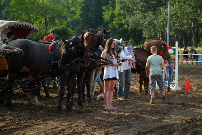 Konne popisy w Jeziorkach (dźwięk i zdjęcia)