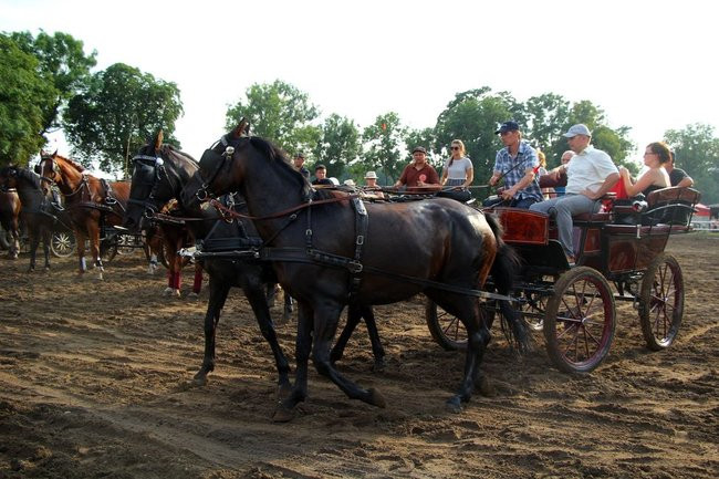 Konne popisy w Jeziorkach (dźwięk i zdjęcia)