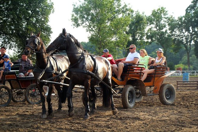 Konne popisy w Jeziorkach (dźwięk i zdjęcia)