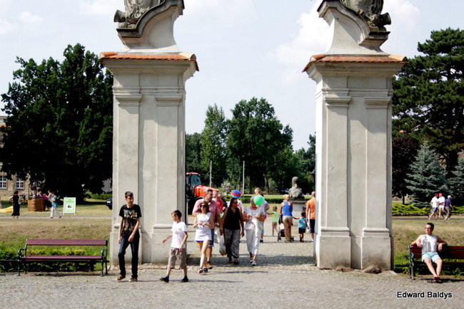 Piknik z Agromixem (zdjęcia)