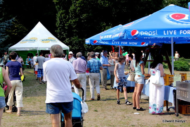 Piknik z Agromixem (zdjęcia)