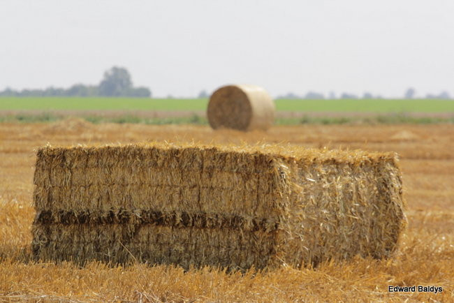 Prasa do słomy w podróży po Europie