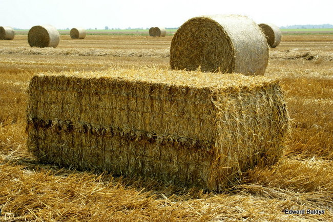 Prasa do słomy w podróży po Europie