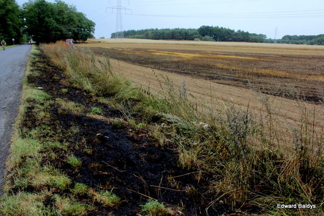 Od zwarcia linii energetycznej