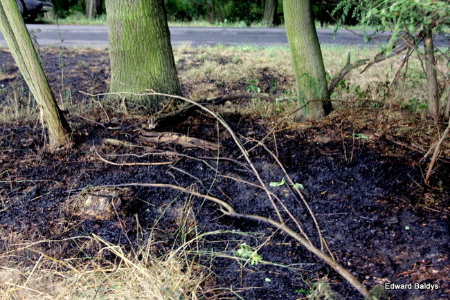 Od zwarcia linii energetycznej