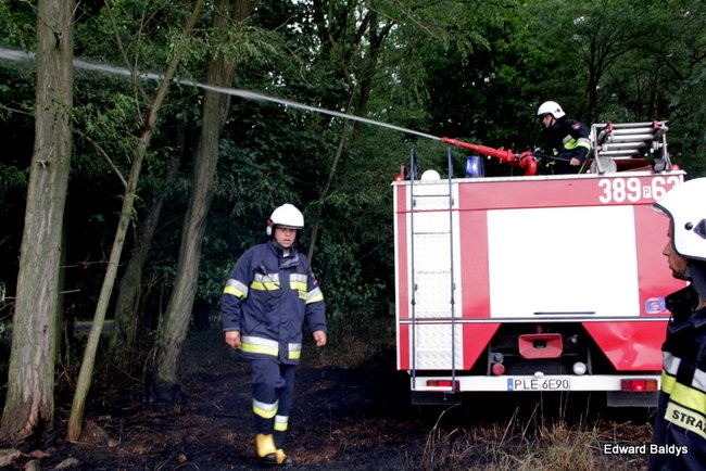 Od zwarcia linii energetycznej